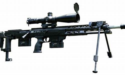dsr-1_dsr-1狙击步枪